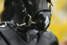 Horse Muzzle