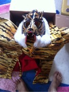 tiger mask