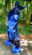 Polar Draknoir Fursuit