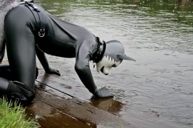 Lupo at the river